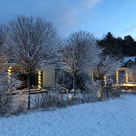 Eden House Villa ดรูซกินินไก ภายนอก รูปภาพ